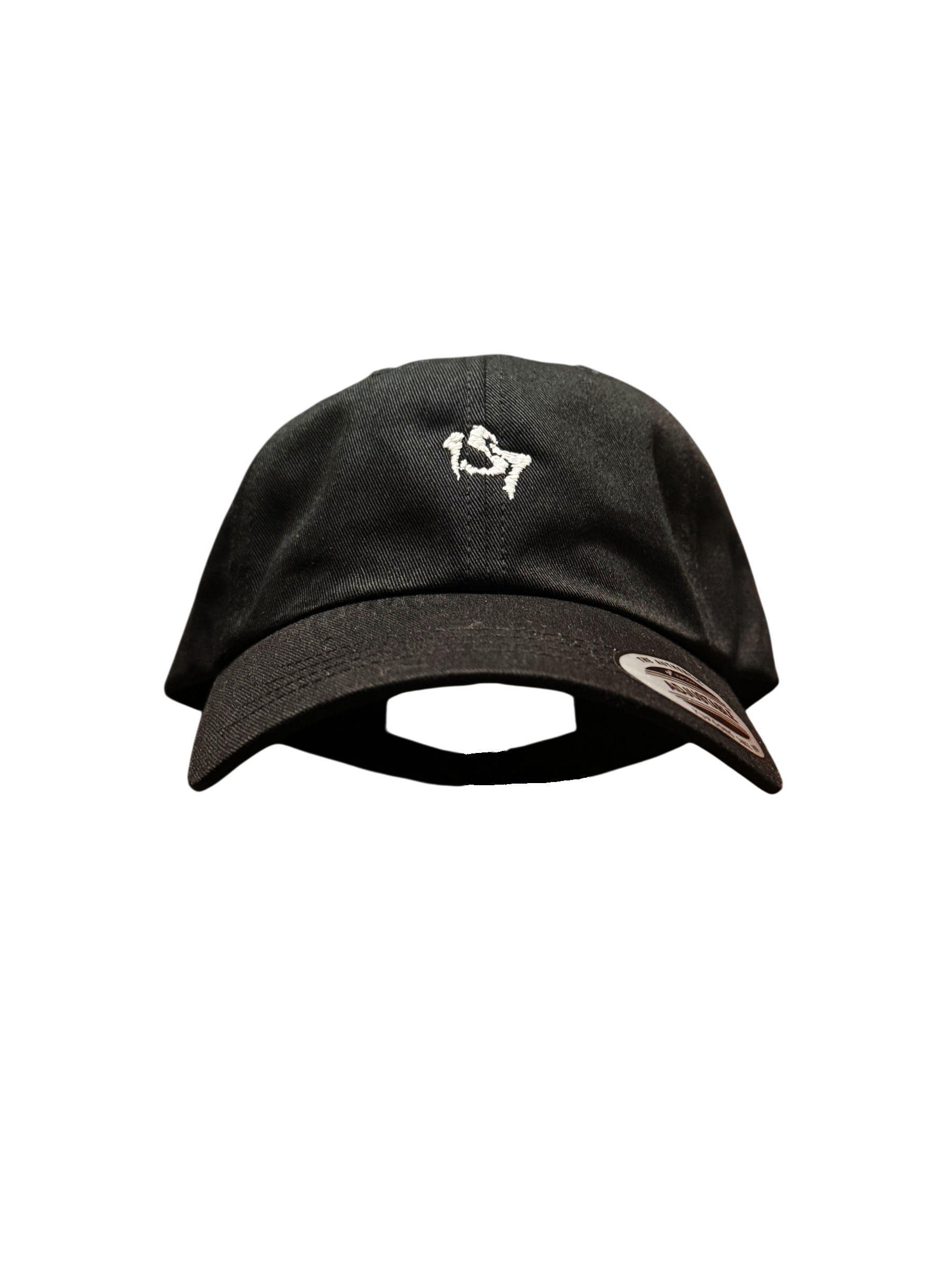 Logo Baseball Cap